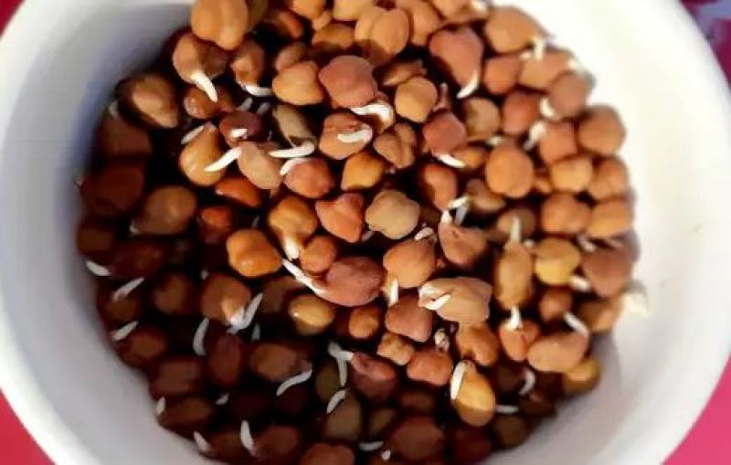 bhije chole bhije chole