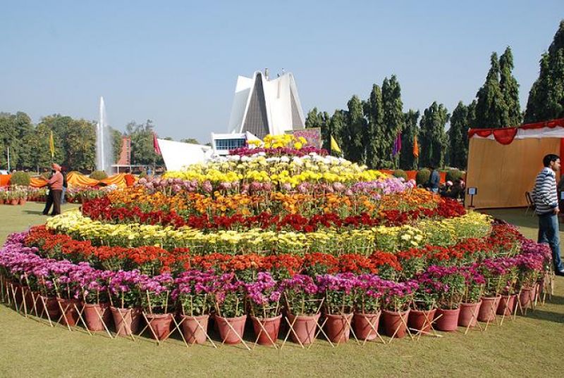 Punjabi University Patiala