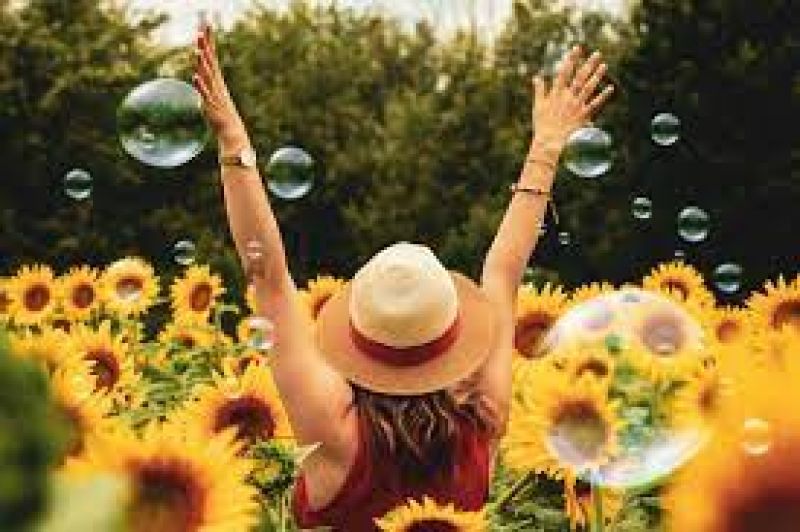 happy life happy life