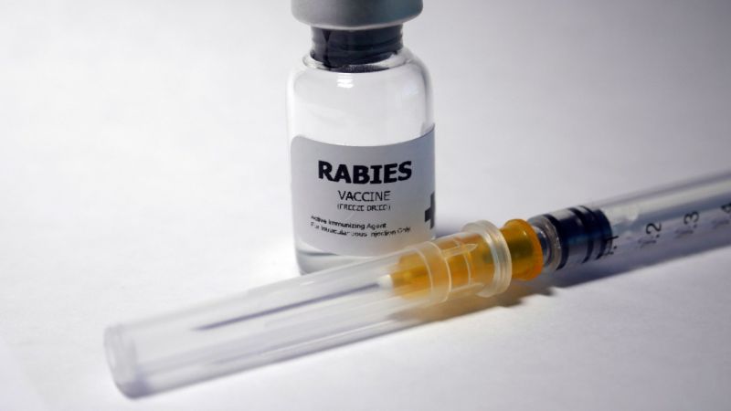 Rabies Vaccine