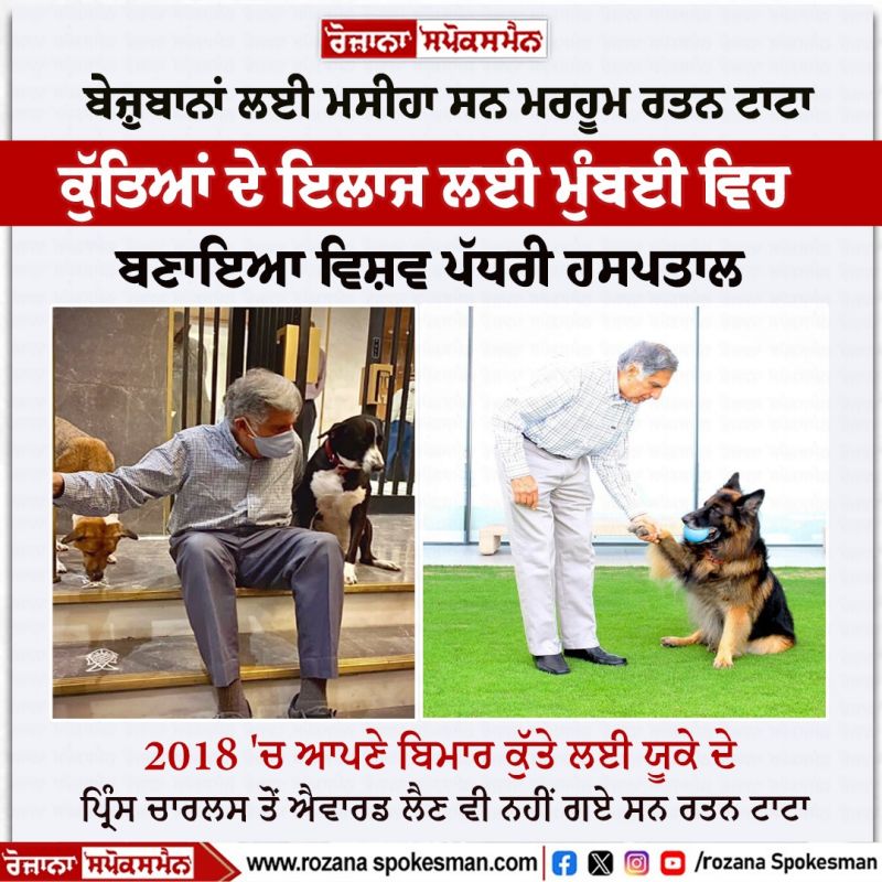 Ratan Tata dogs love News Ratan Tata dogs love News