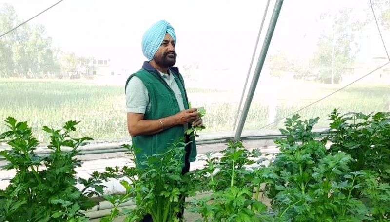 Hardeep Singh Kingra