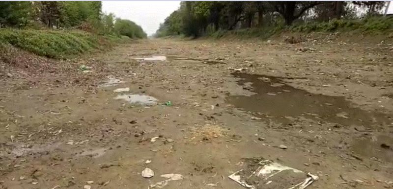 Cleaning of the clavicle supplying water to the sarovar will start from March 31