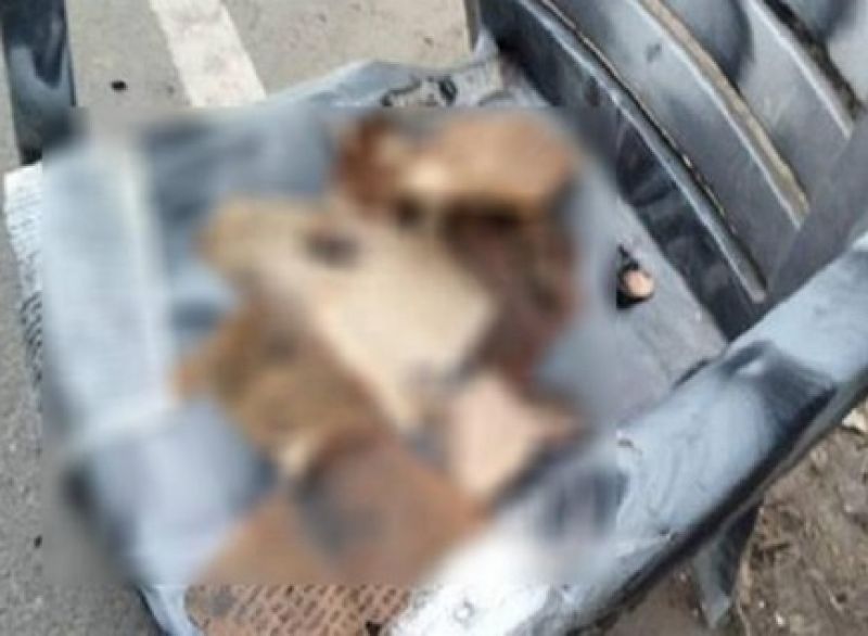 Gutka Sahib was insulted by mischievous miscreants at Hydernagar