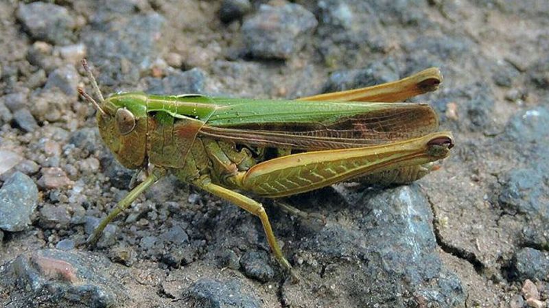 File Photo File Photo