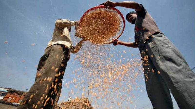 The Government of India will distribute free foodgrains in May and June