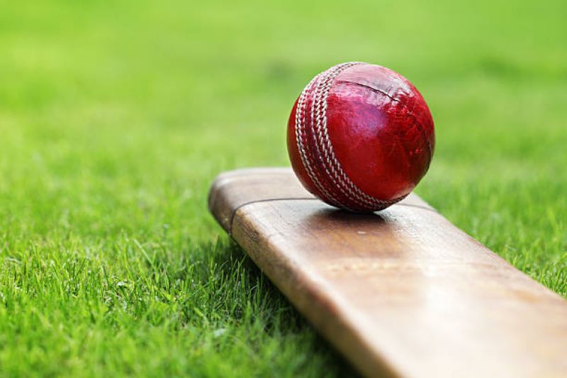 Cricket  Cricket
