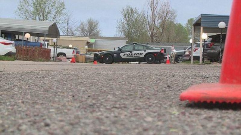 7 people dead in birthday party shooting