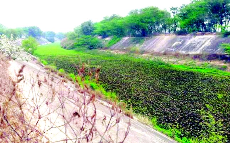 Sutlej Yamuna link canal