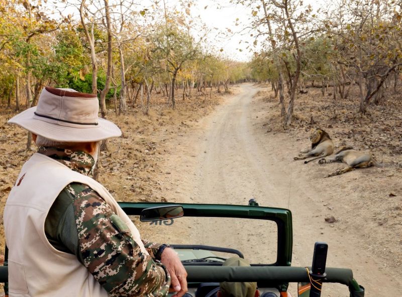 PM Narendra Modi visited Gir National Park in Gujarat PM Narendra Modi visited Gir National Park in Gujarat