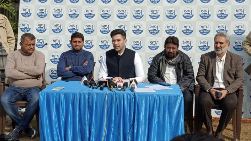 BJP proves bad politics by trying to buy AAP's winning candidates: Chadha