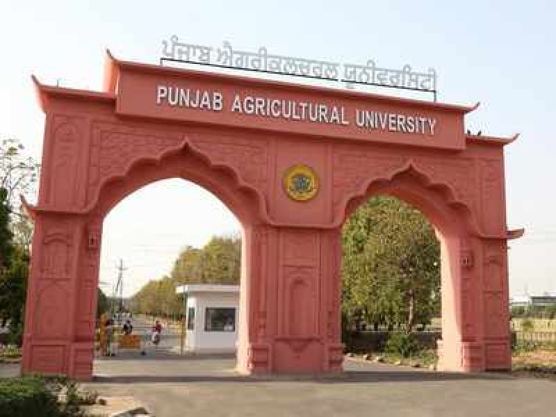 Punjab Agricultural University