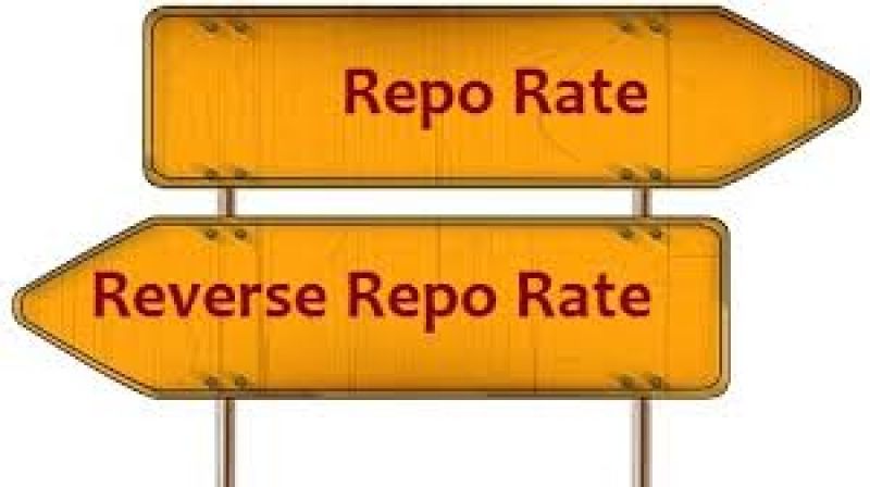 Repo rate