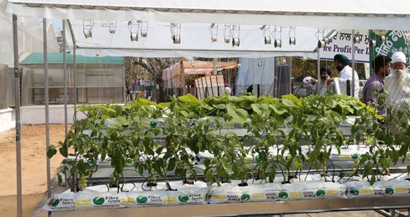 without Soil Farming 