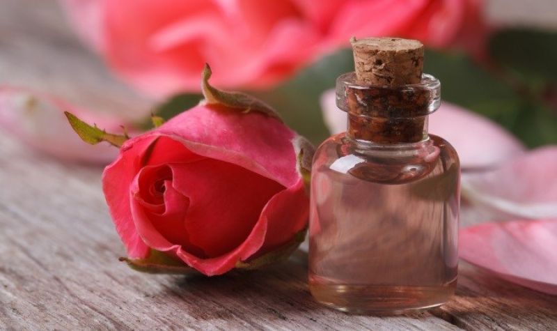 Rose Water Rose Water