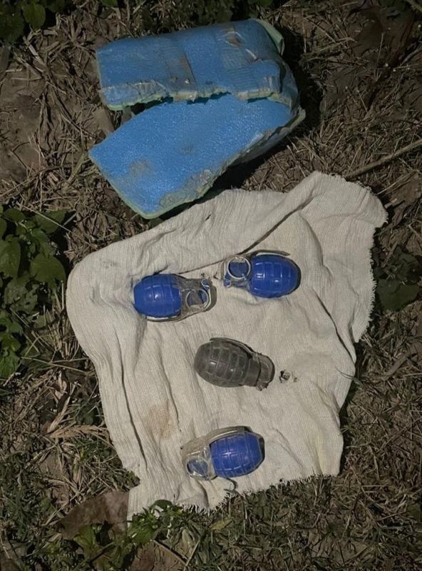 Punjab Police recovers tiffin bomb, four hand grenades from Gurdaspur’s village
