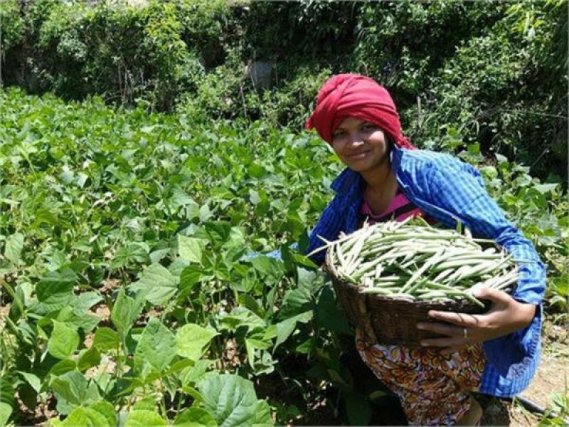 Women became the inspiration for the girl