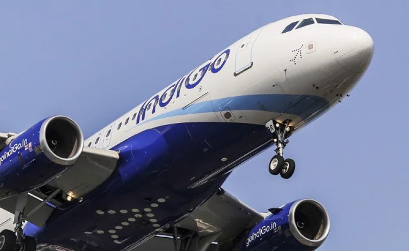 Indigo Indigo