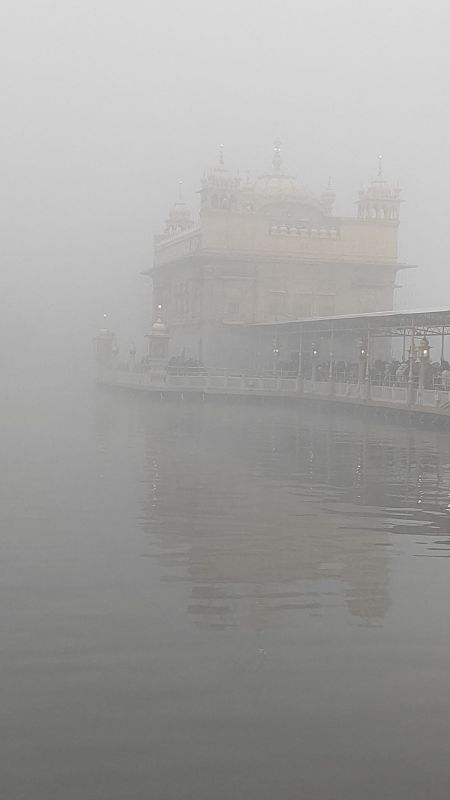 Darbar sahib Fog News in punjabi 