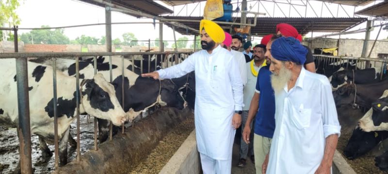 Cabinet Minister visited villages of District Tarn Taran along with animal experts