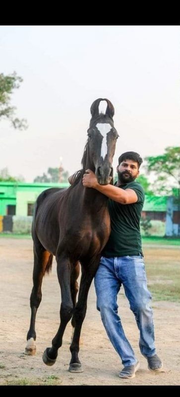 Satbir Singh Satbir Singh