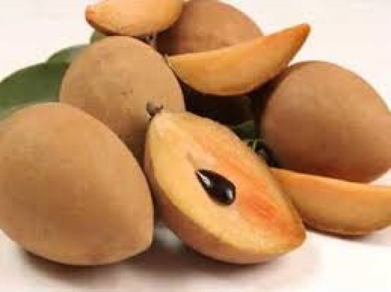 Chiku is good for health