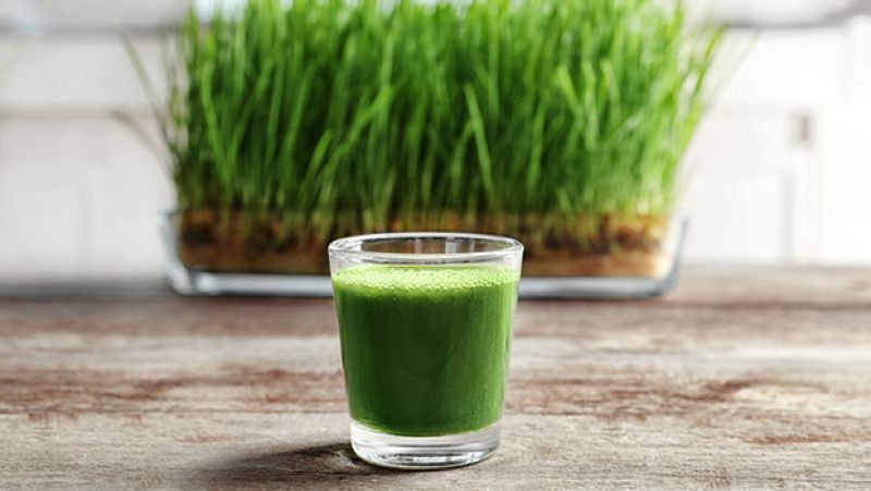 Wheat juice   Wheat juice