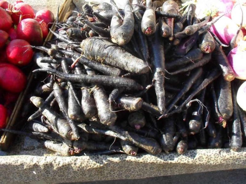 black carrot 