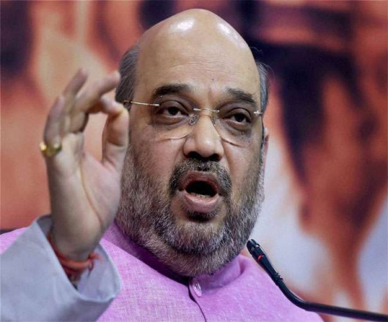 BJP looses up Lok Sabha Bypoll due SP-BSP coalition : Amit Shah
