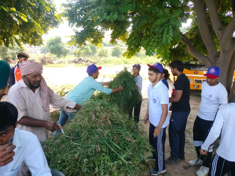 Swachhta Hi Seva Campaign 2023 organized by Sri Guru Gobind Singh College Swachhta Hi Seva Campaign 2023 organized by Sri Guru Gobind Singh College