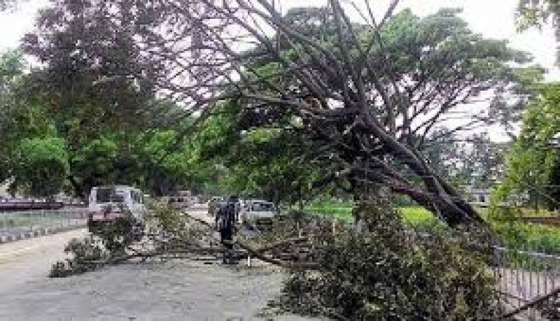 1800 houses damaged due to storm tripura