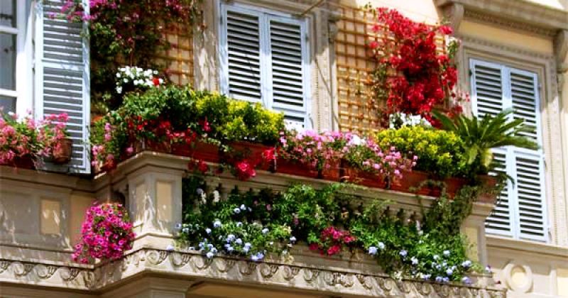 Garden with Waste Material 