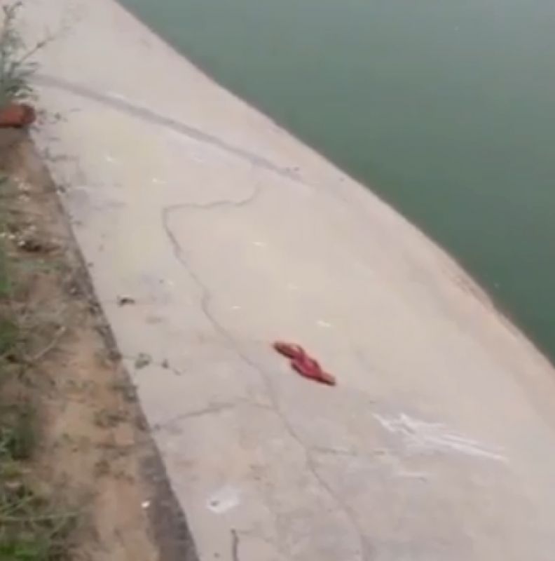 2 minors found dead from water body in Noida