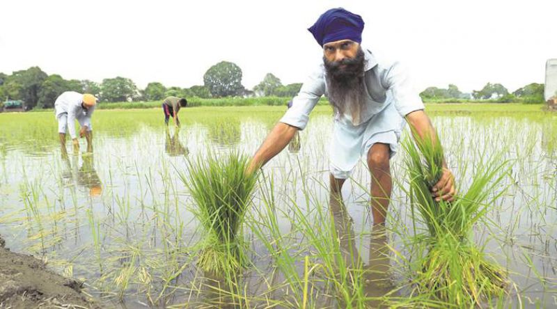 Water crisis Punjab Water crisis Punjab