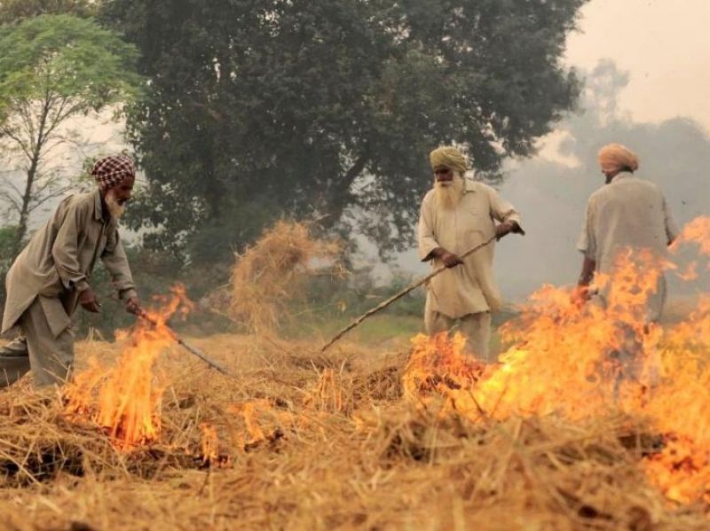 Stubble Burning Cases in Haryana declines