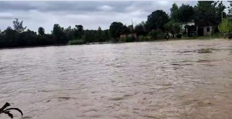Heavy rainfall in Punjab, 81 Villages Evacuated in Punjab