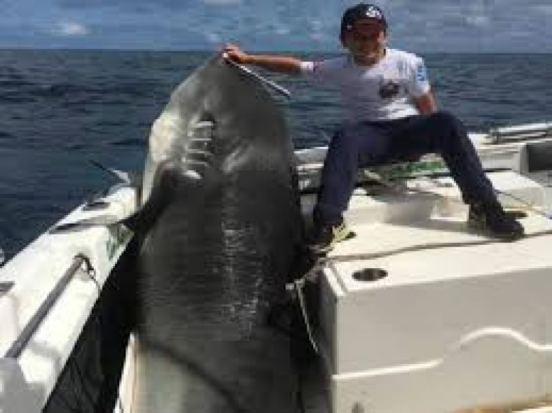 Eight year old child