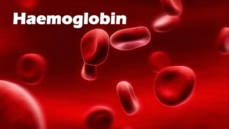 Haemoglobin