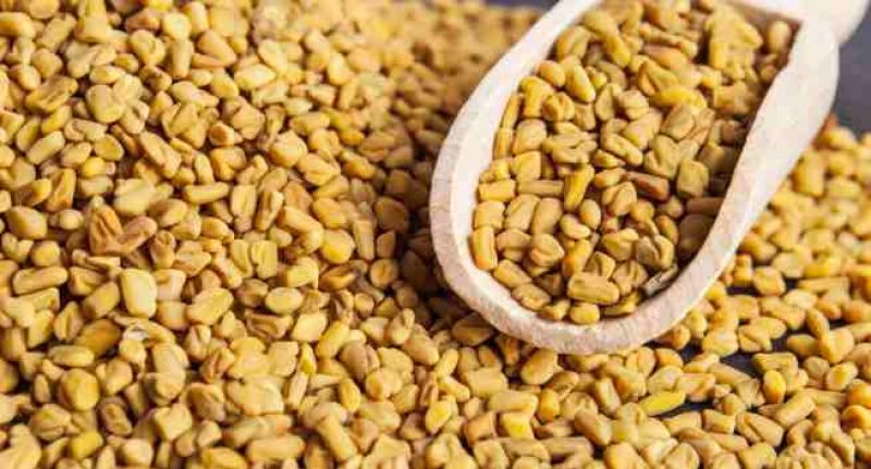Fenugreek seeds