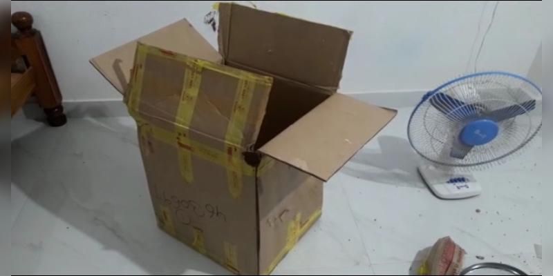 Courier company delivers snake in parcel to man in Odisha