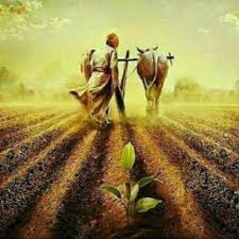 file photo file photo