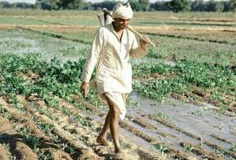 Indian Farmers