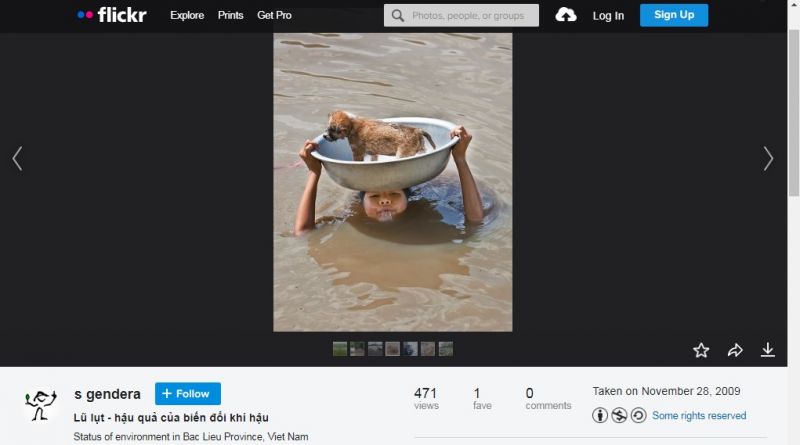 Flickr Flickr