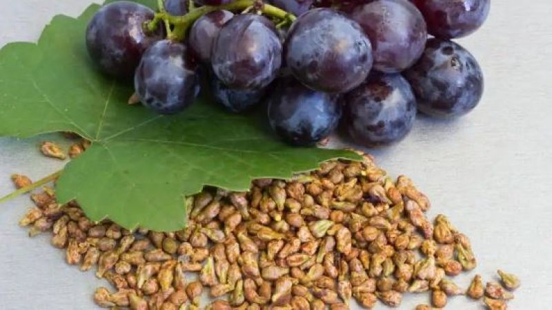 Grapes Seeds
