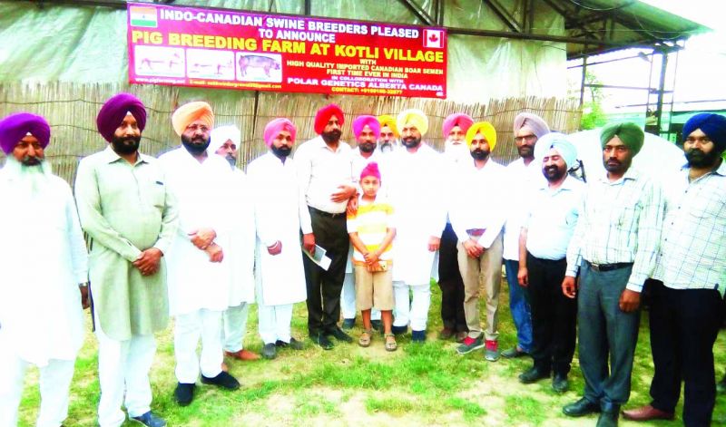 Farmers adopt livestock occupations with agribusiness: Balbir Singh Sidhu