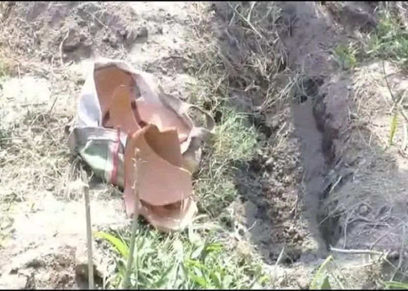 Bareilly Newborn Baby