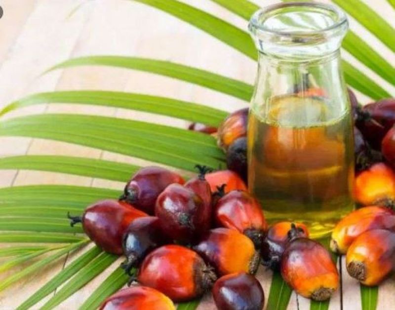 Refined Palm Oil