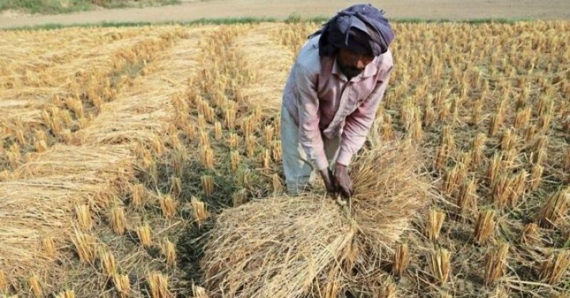 Stubble Burning Cases in Haryana declines