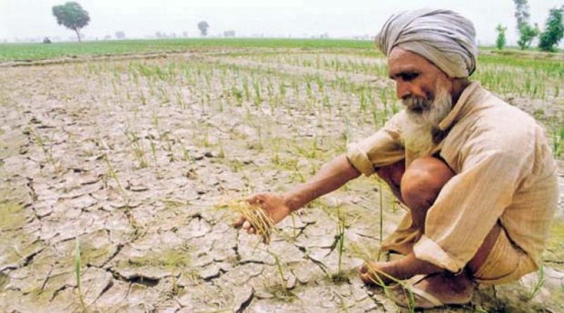 Punjab Farmer Punjab Farmer