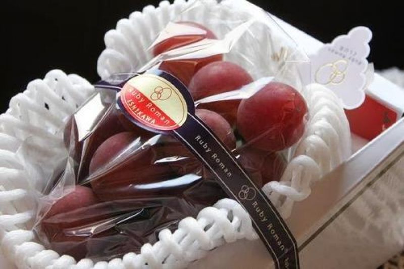 bunch of red grapes ruby roman 